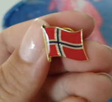 Cargar imagen en el visor de la galería, Pin Bandera Noruega
